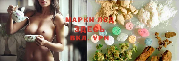 амф Арсеньев