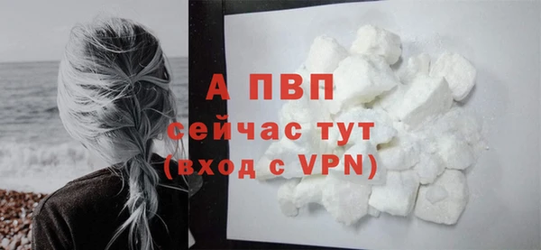 амф Арсеньев