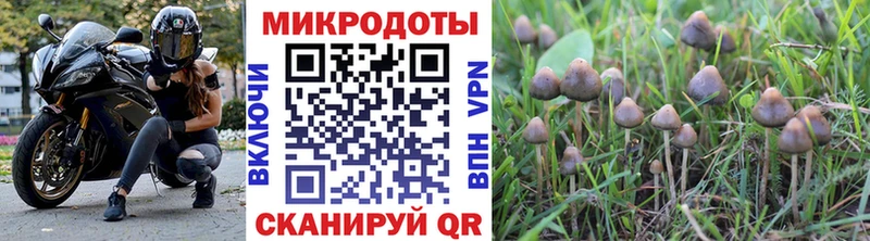 где купить наркоту  Бронницы  Галлюциногенные грибы ЛСД 